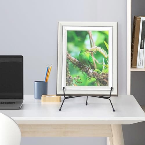 Upgraded 6 Pack 8 Inch Anti-Slip Iron Photo & Plate Display Stands