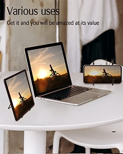 Lzerking 10-Pack Black Metal Plate Display Stands for Pictures & Decor