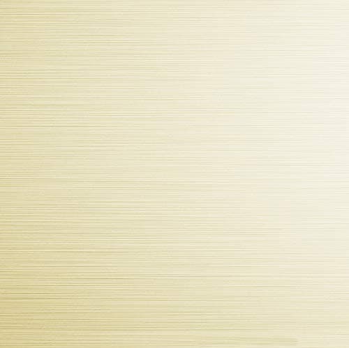 SUS304 Stainless Steel Nolimas Brushed Nickel Toilet Paper Holder — Gold