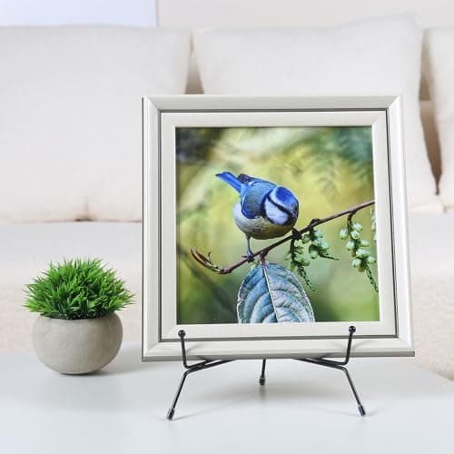 Upgraded 6 Pack 8 Inch Anti-Slip Iron Photo & Plate Display Stands