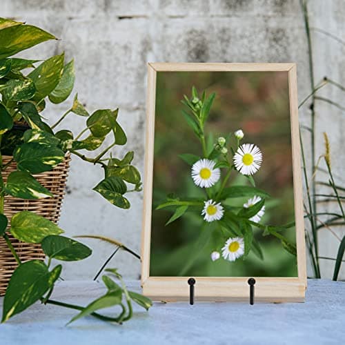 Ouskr 4pcs 4.25 Inch Plate Stands, Metal Picture Frame Holders for Display Black