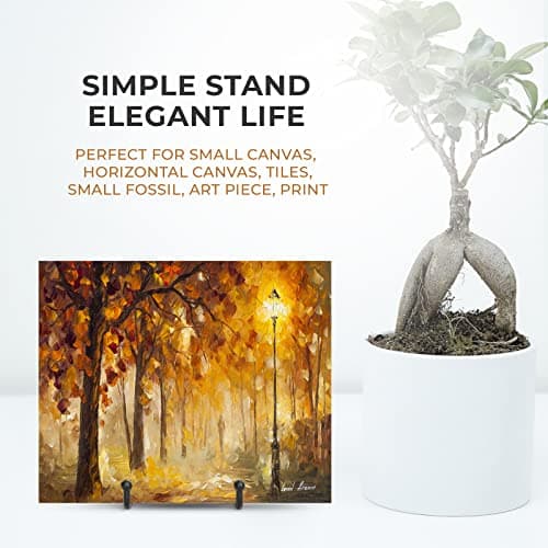 TR-LIFE 3 Pack 3 Inch Plate Stands for Display and Picture Easel