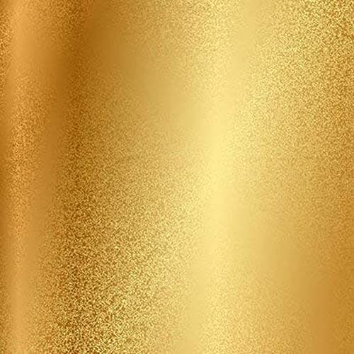 TocTen Thick 304 Stainless Steel Toilet Paper Holder, Wall Mount, Fits Big Roll Paper (5.9In, Brushed) — Brushed Gold
