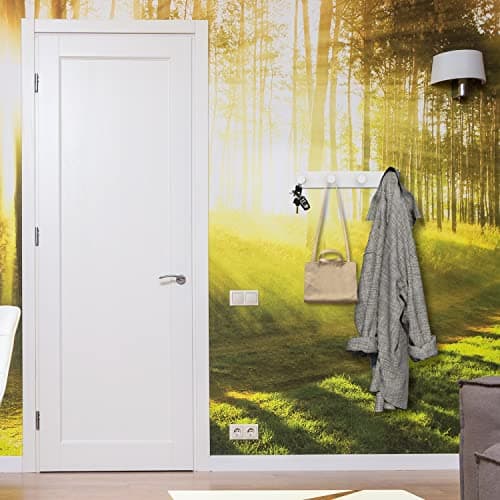 White Wall Mount Coat Rack with 4 Hooks, Stainless Steel Door Hooks